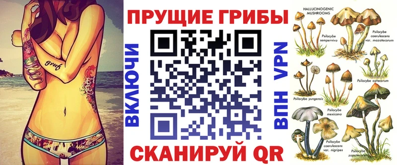 Псилоцибиновые грибы Psilocybe  Купить закладки  Красный Сулин 
