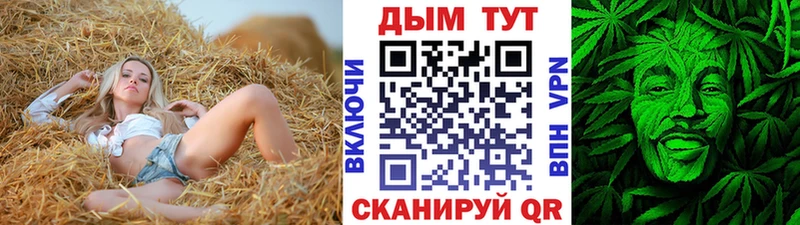 Купить где  Красный Сулин  Конопля OG Kush 